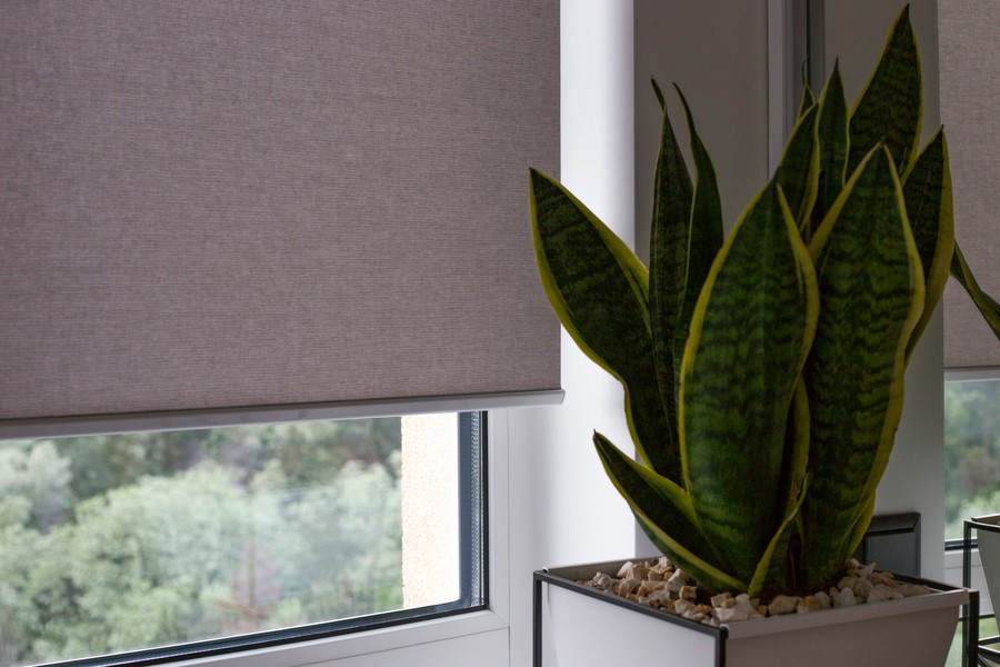 Partially lowered automatic blinds in a window next to a green plant.